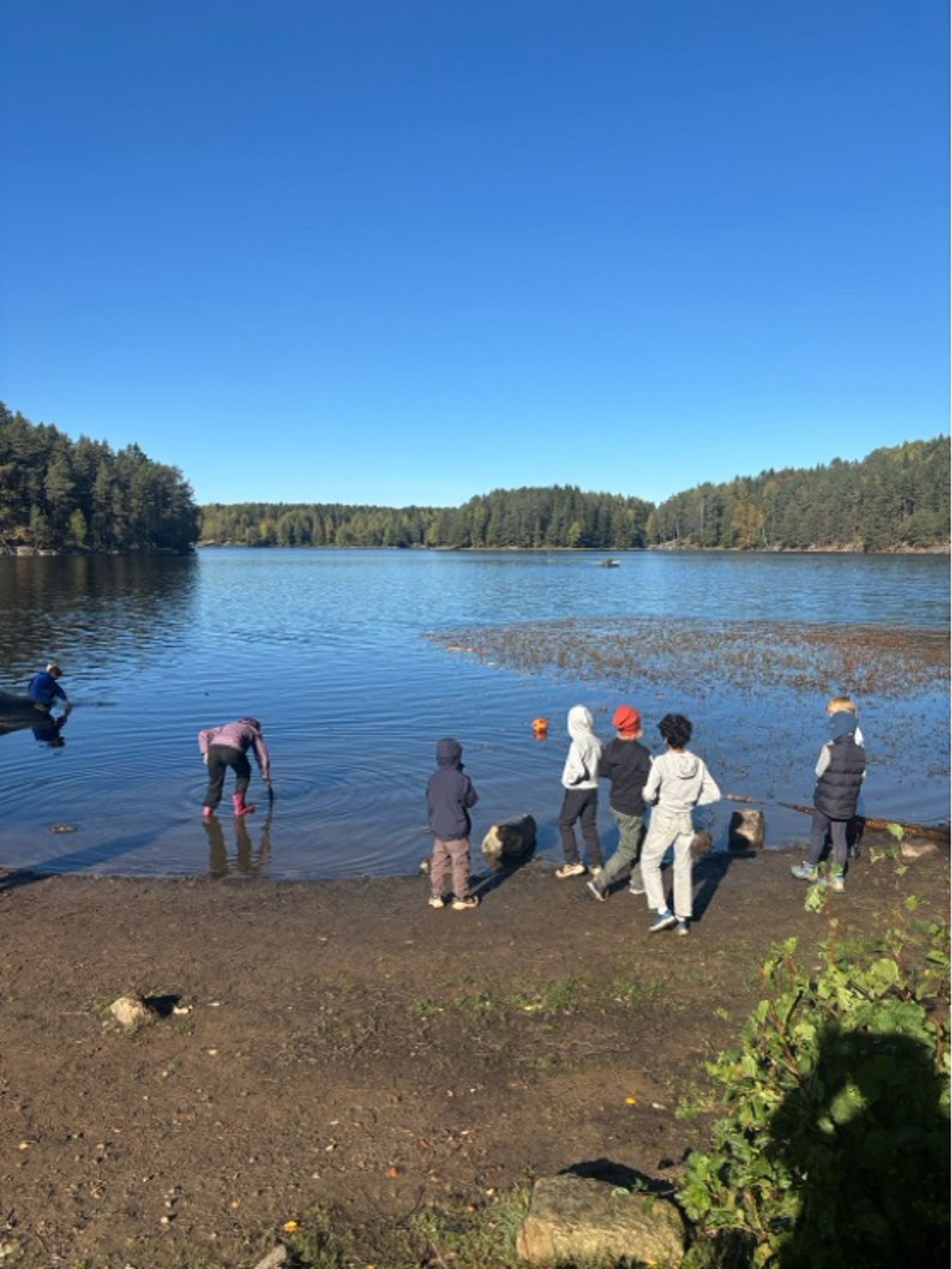 en gruppe mennesker som står på en strand ved siden av et vann