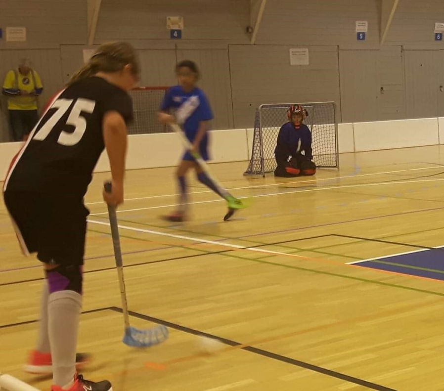 Innebandy spill