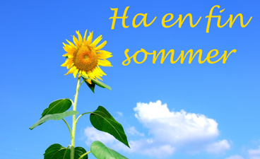 en solsikke med blå himmel og skyer