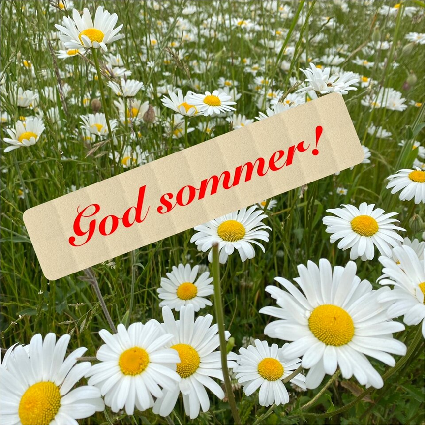 et skilt i en eng med hvite blomster